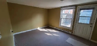 ONE BEDROOM WALKOUT BASEMENT FOR RENT Image# 1