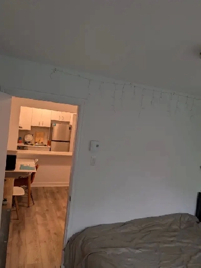 Fantastic Apartment for June in NDG Image# 1