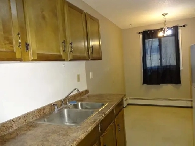 Lower mount royal 2 bedroom,balcony,parkg $1450/m ten pay elect Image# 8