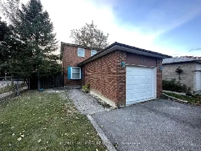 3 bed 3 bath house - Major Mack/Bathurst Image# 5
