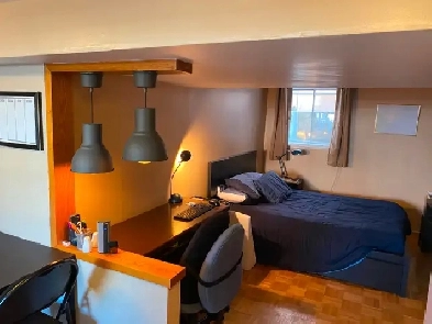 LARGE Basement Bachelor in Overbrook Image# 1