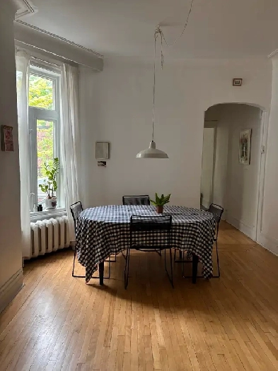 Sunny 6 1/2 with garage in OUTREMONT July-August Image# 1