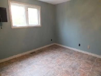 one bedroom apartment for rent Image# 11
