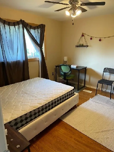 Dundas Rooms for Rent Image# 2