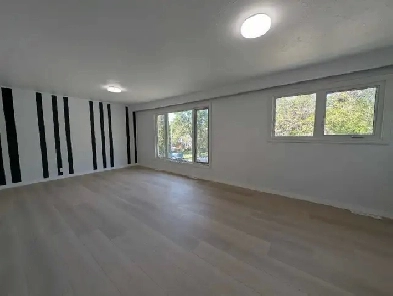 Brightly Renovated 3 BR Upper Floor Duplex Image# 4