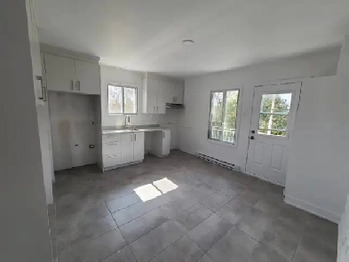 Appartement rénové 2 chambres - Montréal - Hochelaga Image# 1