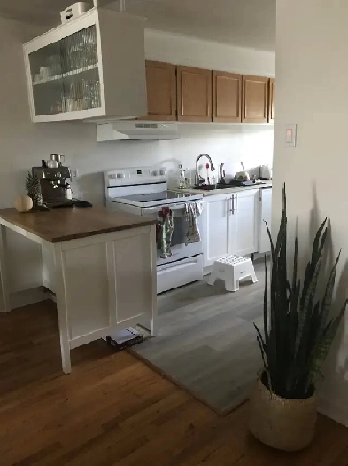 Grand 5 1/2 à louer ensoleillé Image# 1