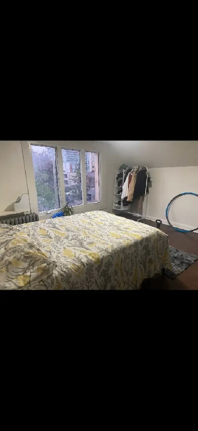 CENTRE TOWN BRIGHT BACHELOR ALL INCLUSIVE Image# 1