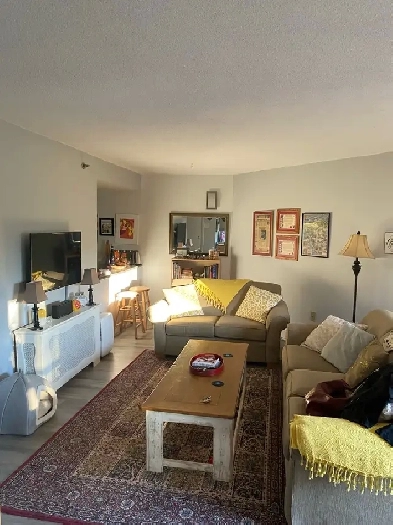 1 Bedroom Lease Starting June 1st Image# 2