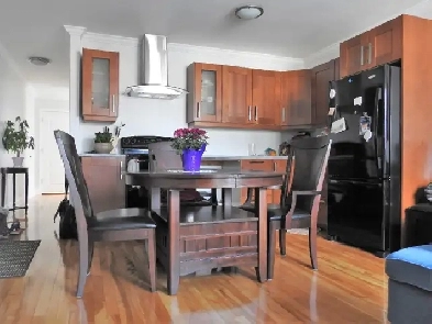 4½, une chambre fermée, style condo, Nouveau-Rosemont, 1er juin Image# 8
