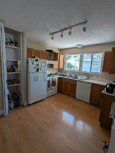 Available immediately: Affordable rooms for rent in Brentwood Image# 4