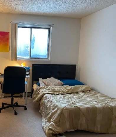 one single room for students Image# 1