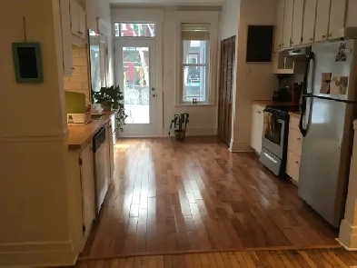 Plateau Mont-Royal, Charmant 4 1/2 rénové / renovated Image# 1