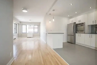 3,1/2 SPACIOUS 1 Bedroom in DOWNTOWN MONTREAL Image# 1