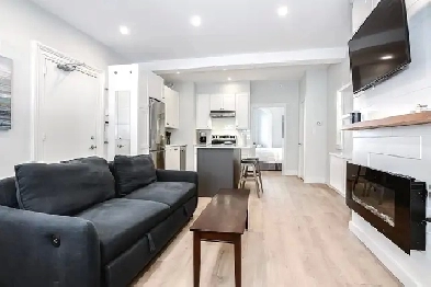 Downtown furnished 1bdr (Sept 1) STR lease Image# 6