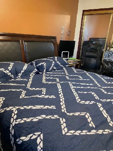 rm for rent in Capilano @775/month or 325/wk nr Sherwood park Image# 1