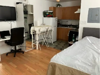 Studio Montréal-centre - métro Sherbrooke/ Student apartment Image# 3