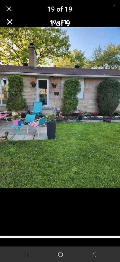 Room For Rent Near Algonquin College Available June 1st Image# 1