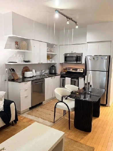 Bright 1-Bedroom Condo – Yonge & Bloor – 100 Walk Score Image# 6