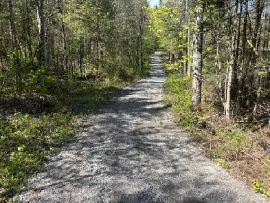 Terre zone agricole 98 acres Image# 3