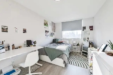 Furnished Bedroom for Summer Sublet – 50 Gerrard St E (June–Aug) Image# 2