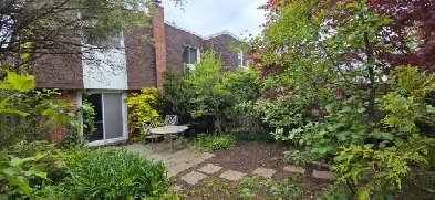 Beautiful, Bright Walkout Garden Apartment from July 20th Image# 9