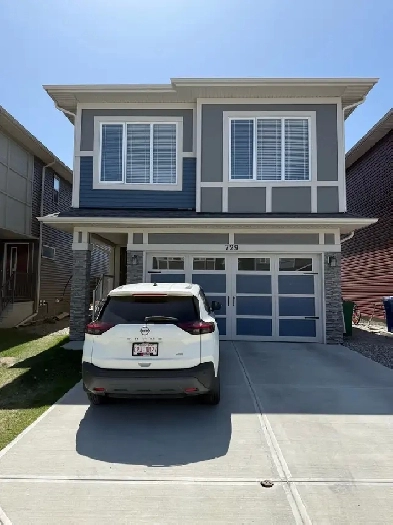 New Basement to rent in Midtown, Airdrie Image# 4
