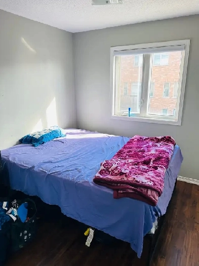 room for rent Image# 3