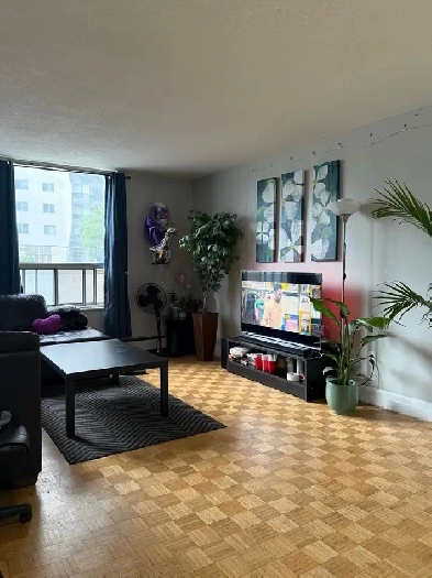 2 bed 1 bath rent waterloo Image# 1