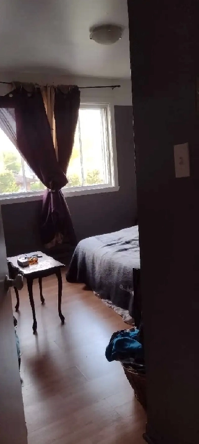 chambre à louer Image# 1