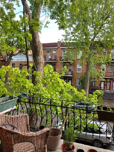 À loué/For rent 1400 sq foot,7.5  room condo Outremont $1850 Image# 4