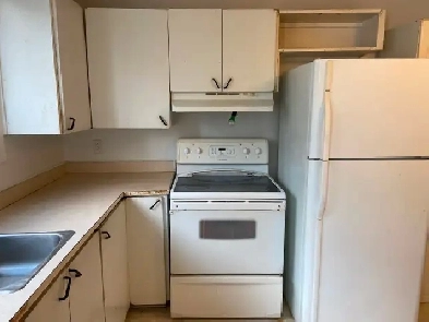 One bedroom apartment for rent 1200 Image# 1