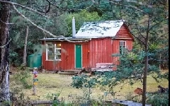 Looking for land alone or with camp, house ,shack Image# 1