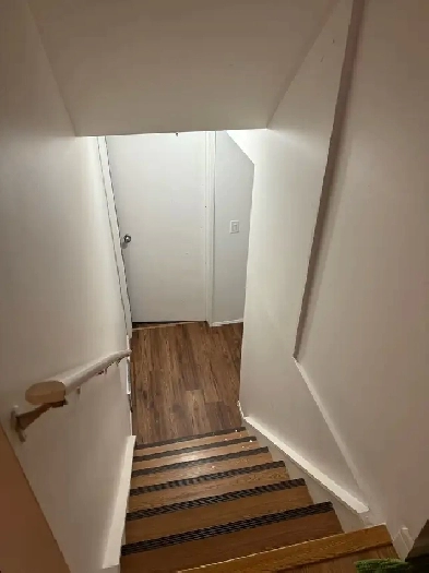Available for  Rent - 1Bedroom Basement for working professional Image# 2