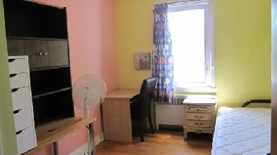 Super Clean Bedroom, Double Bed near Du College Metro Station Image# 3