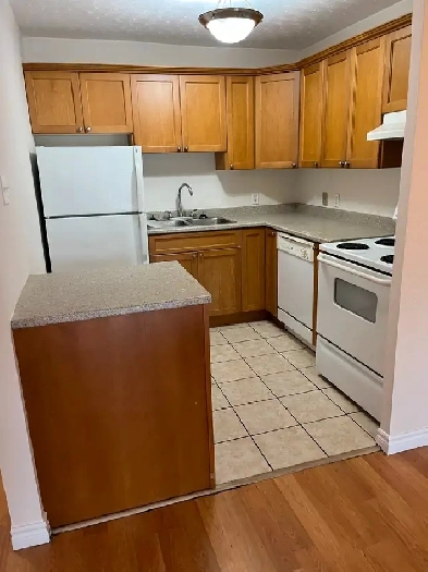 376 Westmorland St 1 bedroom,  Special 1 month free Image# 5