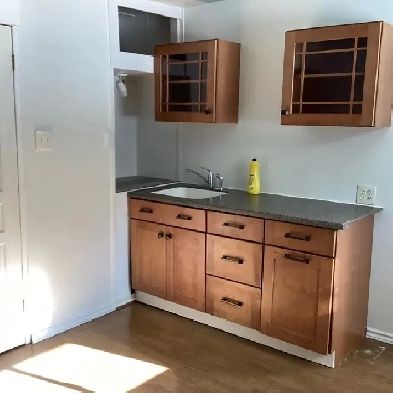 Large studio unit for rent Image# 3
