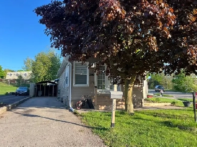 house for rent Image# 3
