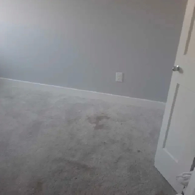 Negotiations of terms Image# 1