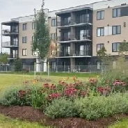 4 1/2 à louer Lévis - 1 mois gratuit Image# 2