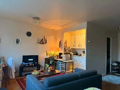 Large bright upgrated studio apartment for rent Pape and Cosburn Image# 1