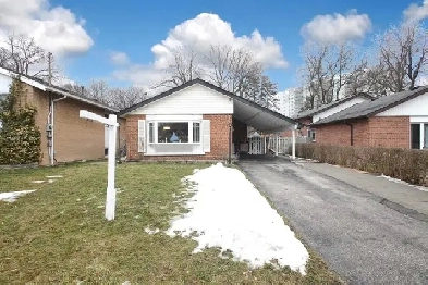 Private room for male near U of T Scarborough available now Image# 1