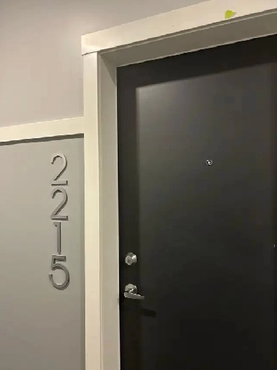 2 Brand New Condos for sale in Carrington Image# 1