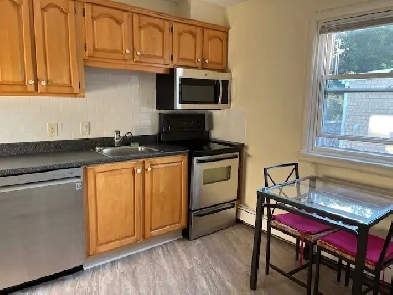SUMMER RENTAL  ... SPACIOUS TWO BEDROOM DWNTN HALIFAX Image# 1