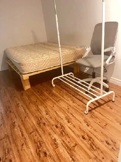 College and Bathurst Basement Suite Image# 1