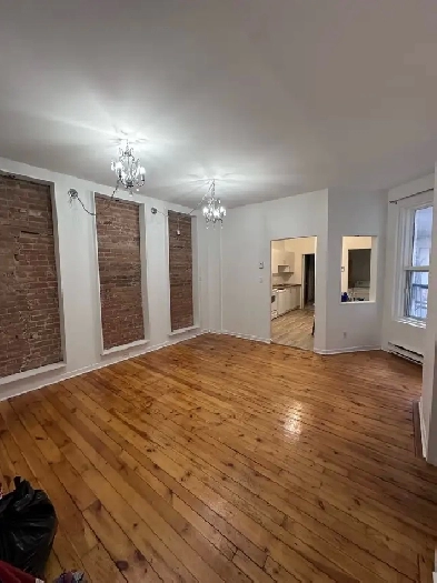 Apartment For Rent in Plateau Mont-Royal Image# 1