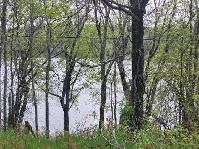 LAND FOR SALE, 0 ANDREWS LANE EAST,  BONFIELD ONTARIO Image# 4