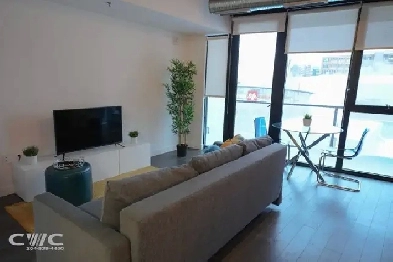 Fully Furnished Suite with Balcony in Downtown Winnipeg! Image# 8