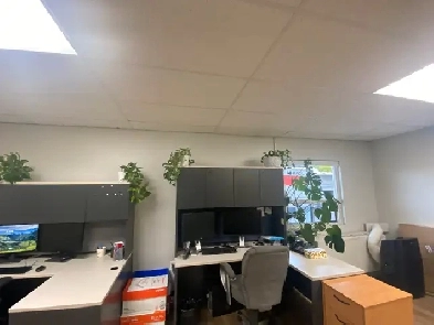 Individual Downtown Office Space for Lease Image# 1