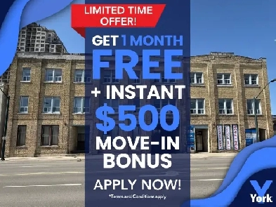 2 Bedroom Downtown Spacious Apartment for Rent! York & Talbot